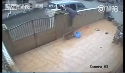 Dân mạng phẫn nộ trước nhóm 'cẩu tặc' đi ô tô,  vượt rào trộm chó